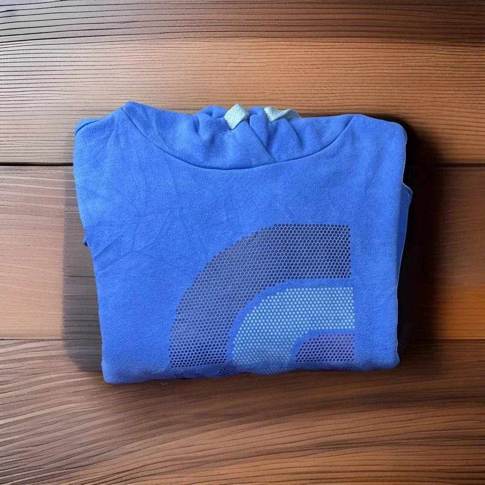 The North Face Hoodie Blue Pullover Graphic Logo Sweatshirt Mens S